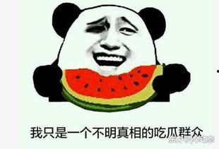 娱乐圈吃瓜要吃就吃个够,一网打尽，吃个够！